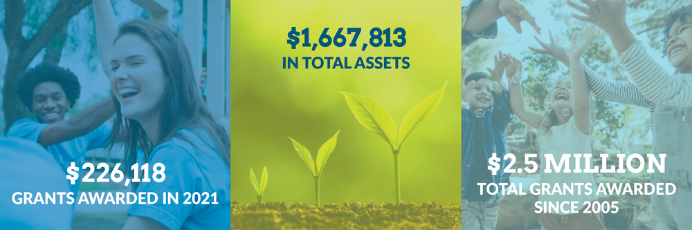 $226,118 grants awarded in 2021. $1,667,813 total assets. $2.5 million total grants awarded since 2005.