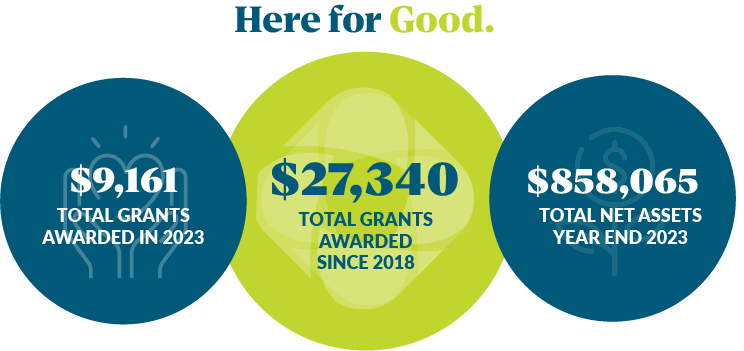$9,161 grants awarded in 2022. $27,340 total grants awarded since 2018. $858,065 total assets.