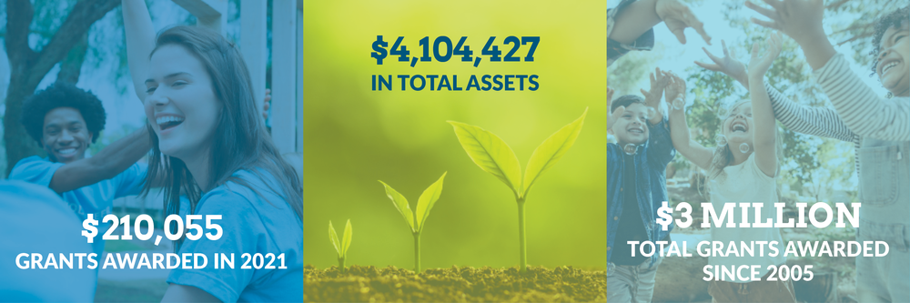 $210,055 grants awarded in 2021. $4,104,427 total assets. $3 million total grants awarded since 2005.