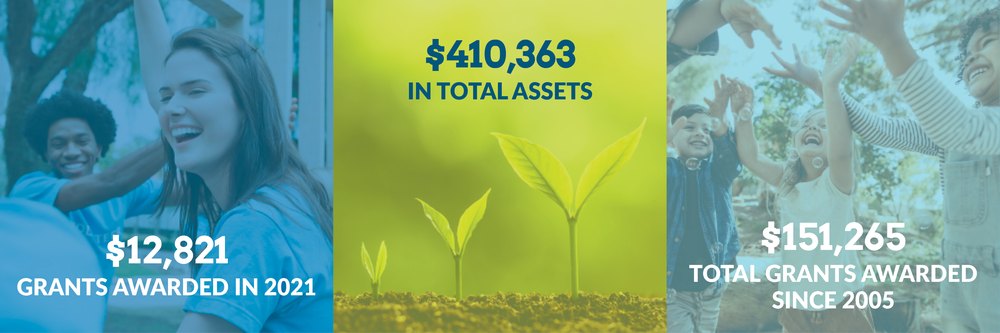 $12,821 grants awarded in 2021. $410,363 total assets. $151,265 total grants awarded since 2005.